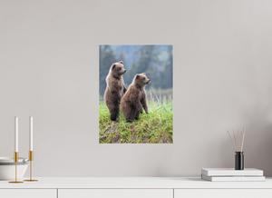 Double Trouble, Alaskan Coastal Brown Bear Cubs
