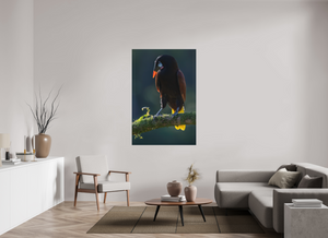 Master of Ceremonies, Montezuma Oropendola