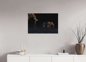 Shadow Guard, Botswana