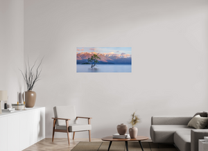 Endurance, New Zealand