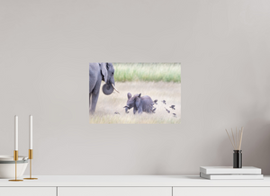 Childhood Fantasy, Elephant