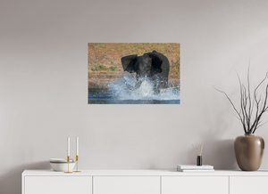 Tsunami, Elephant
