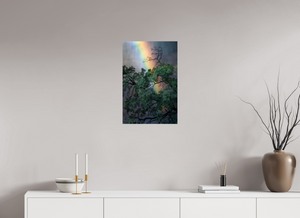 Weathered & Unbeaten, Zimbabwe