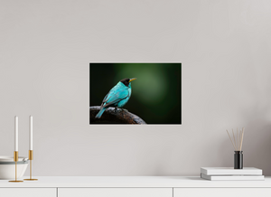 Centerpiece, Green Honeycreeper