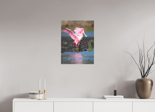 Water Dance, Roseate Spoonbill