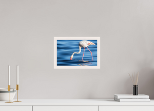 Point of Impact, Greater Flamingo