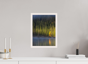 Spotlight, Montenegro