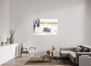 Childhood Fantasy, Elephant