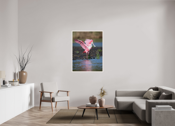 Water Dance, Roseate Spoonbill