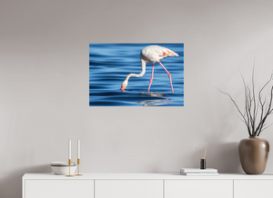 Point of Impact, Greater Flamingo