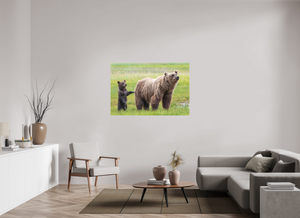 Maternal Instinct, Alaskan Coastal Brown Bear