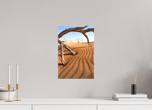 Talons of Decay, Namibia