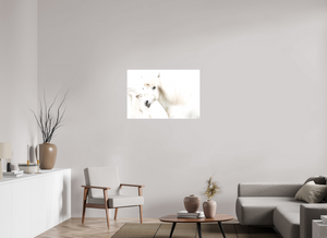 Transparency, Iceland