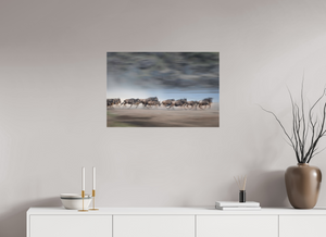 Safety in Numbers, Wildebeest