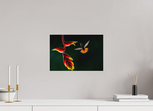 Inferno, Rufous-tailed Hummingbird