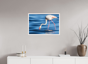 Point of Impact, Greater Flamingo