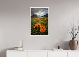 Gems in the Rough, Norway