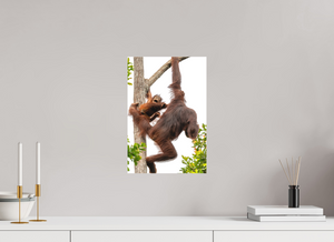 Panic Mode, Orangutan