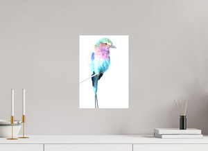 African Pastels, Lilac-Breasted Roller