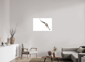 The Provider, Tufted Puffin