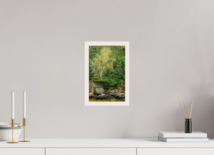 Autumn Confetti, Maine