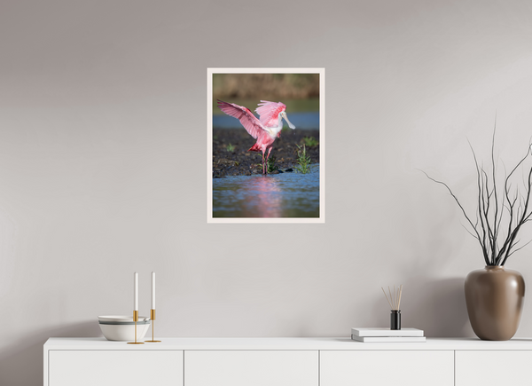 Water Dance, Roseate Spoonbill