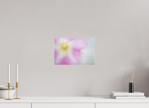 Spider's Treasure, Maine