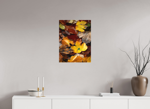 Leaf Litter, Croatia