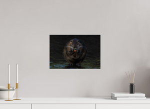 Beyond Braces, Nutria