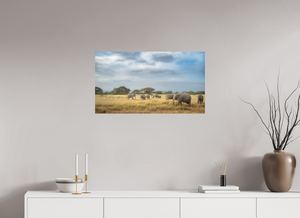 Shadow of Eden, Kenya