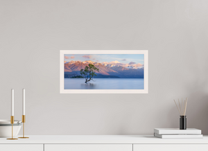 Endurance, New Zealand