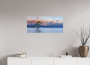 Endurance, New Zealand