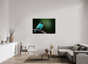 Centerpiece, Green Honeycreeper