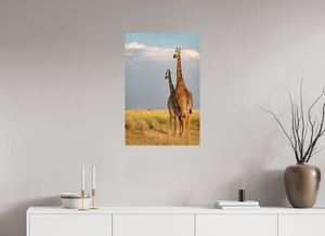 Head in the Clouds, Giraffe