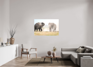 War and Peace, Elephant