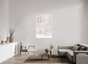 Torches of Winter, Maine