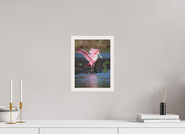 Water Dance, Roseate Spoonbill