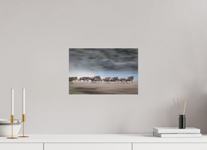 Safety in Numbers, Wildebeest