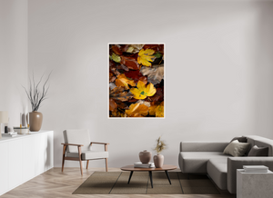 Leaf Litter, Croatia