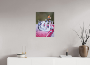 Looney Tunes, American Kestrel