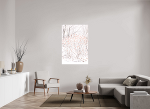 Torches of Winter, Maine