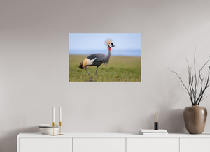 Strictly Formal, Crowned Crane