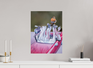 Looney Tunes, American Kestrel