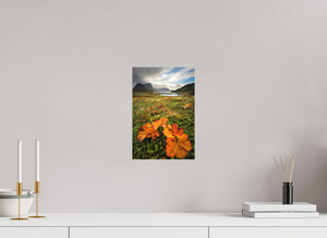 Gems in the Rough, Norway