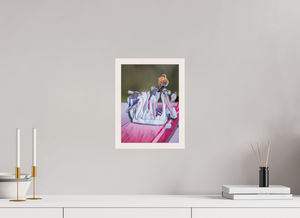 Looney Tunes, American Kestrel