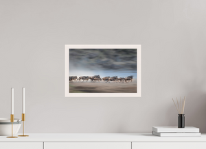 Safety in Numbers, Wildebeest