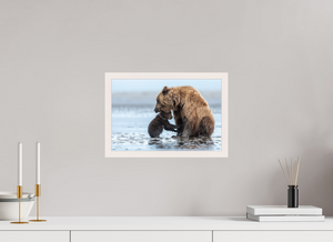 Protection, Alaskan Coastal Brown Bear Cub