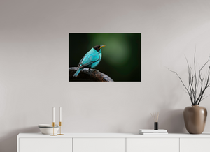Centerpiece, Green Honeycreeper