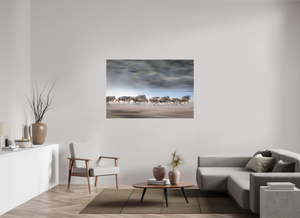 Safety in Numbers, Wildebeest