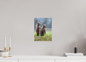 Double Trouble, Alaskan Coastal Brown Bear Cubs